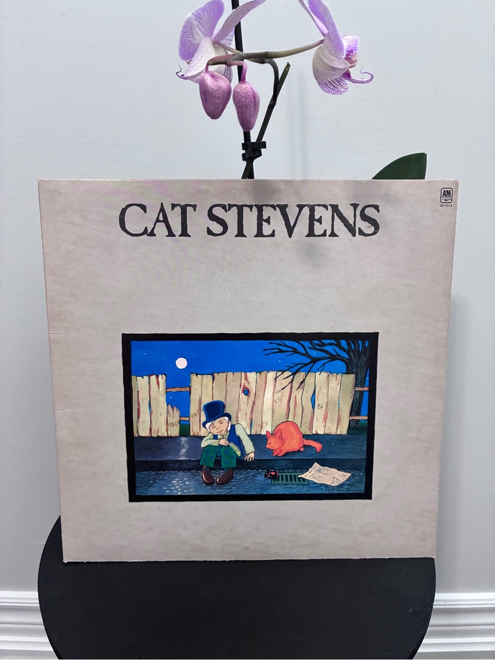 Cat Stevens Vintage Vinyl Record